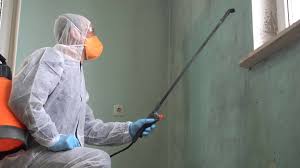 Why You Should Choose Our Mold Remediation Services in Rosemead, CA